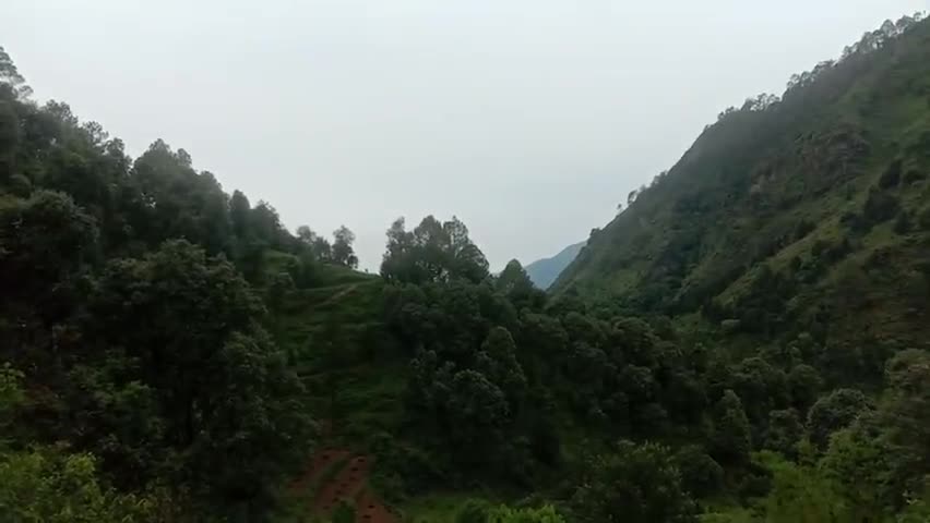 नैनीताल और आस-पास
#नैनीताल