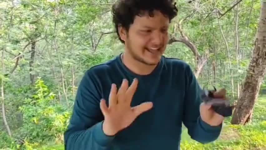 डुमरी: प्रकृति की गोद में बसे जीर्ण शीर्ण डुमरी डाक बंगला के रिनोवेशन हेतु वन पदाधिकारी कर रहें पहल #naturephotography