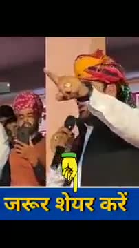 खींवसर: mp Nagour #Hanumanbeniwal﻿@ #hb