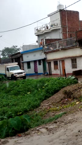 बैरगनियां: #नगरपंचायत बैरगनियाward 21सेखौना गांव में भारी बारिश और आंधी के साथ वर्षा होरही हैं और कल रातको तेज आंधी केसाथ वर्षा हुई