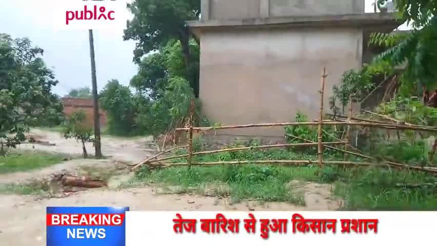 बेनीपट्टी: तेज बारिश से किसान हो रहे हैं प्रशन केसे होगा धन के बीज की बोया﻿ #bihartimes #biharnews #harlakhi #kishanandlon