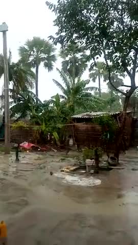 मरवन: #LA ga tar Bari's hone she shan Ki bij me aai bihari girabat﻿#newsstarmaihar1234