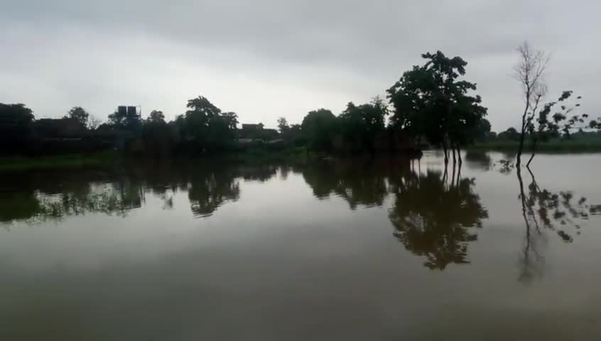 चनपटिया: #Chanpatia
#west champaran #baritola gaon