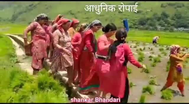 आधुनिक रोपाई उत्तराखंड के पहाड़ों कि 
आप भी देखिए पब्लिक एप के साथ
#लोकडॉउन
#uttrakhand
#ropai
#jornlistPankaj