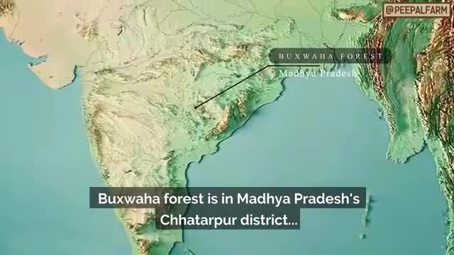 #SaveBuxwahaForest 
 सांसे हो रहीं कम चलो पेड़ों को बचाऐ हम
#modi