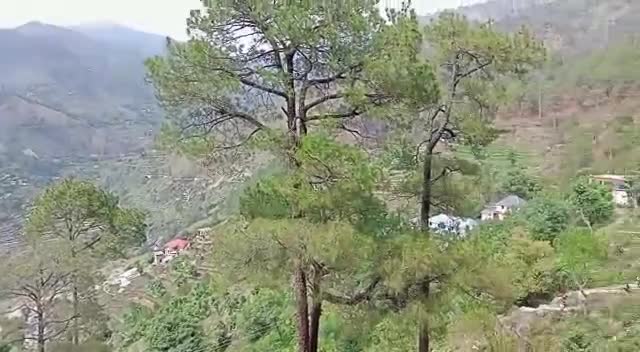 फरीदाबाद: हिमाचल की हसीन वादियां#himachalnews#haryanapolice #faridabadnews #videos15157722 
#virel #virelvideo #indiastandstoge