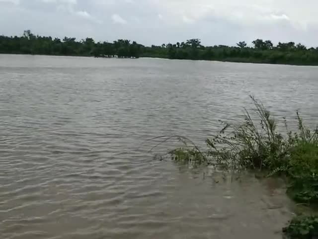 तरैया: #taraiya gandak nadi ki pani chanchaliya diyar tak pahucha
