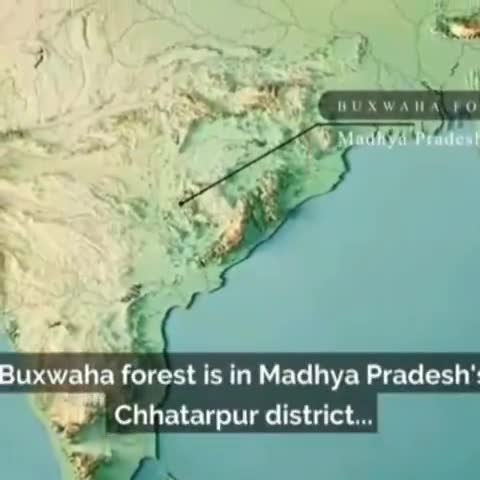 मैं मध्यप्रदेश के छतरपुर जिले का बक्सवाहा जंगल हूँ।
मेरी रक्षा करो!
#savebuxwahaforest