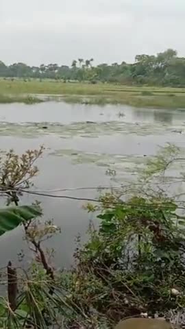 मोतिहारी: MOTIHARI chilawaniya me lagatar pani bad #rahi hai@