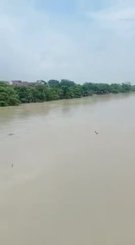 बच्चे को डूबता देख यूपी पुलिस के जवान ने लगाई नहर में छलांग, बचाई जान, हो रही है सरहाना #UP #Police
#Aligarh
#Proud