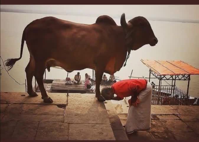 आपका दर हो और मेरा सर हो, 
ये विश्वास यूँ ही उम्र भर हो माँ।
#गंगा_दशहरा #हर__हर_महादेव 😍