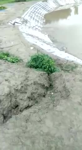 कदवा. बलिया बिलोन थाना के अंतर्गत रनिया पुर गांव में रोड का मिट्टी कटने से आवागमन ठप हो चुका है
#rohitkumar