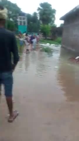 मोहनपुर: #मोहनपुर प्रखंड के मूसैला में आज शाम में बारिश होने से नहर का पानी रोड पर आ गया 
जहां तहां सुरंग बन गए।