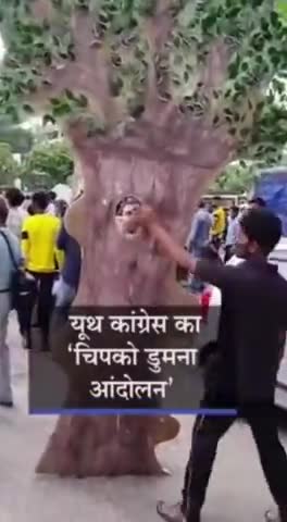*#चिपको_डुमना आंदोलन* जबलपुर से #यूथ_कांग्रेस उतरी " *जन , जंगल , ज़मीन* " की लड़ाई में । - विक्रांत भूरिया