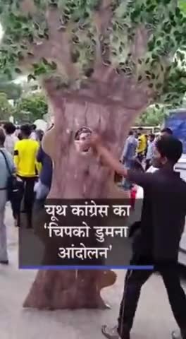 *#चिपको_डुमना आंदोलन* जबलपुर से #यूथ_कांग्रेस उतरी " *जन , जंगल , ज़मीन* " की लड़ाई में ।
नही कटने देंगे हज़ारों पेड़ ...