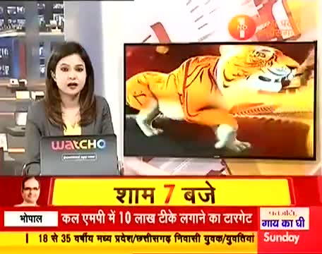 जांजगीर चाम्पा- डभरा ब्लाक के #रिश्वत मांगते #पटवारी का #वीडियो हुआ #वायरल, पटवारी निलंबित। #भ्र्ष्टाचार #जमीन #राजस्व