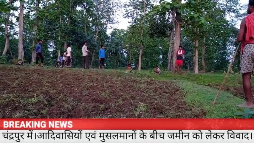 कुरई! चंद्रपुर में।आदिवासियों एवं मुसलमानों के बीच जमीन को लेकर विवाद।#Aadiwashi #Akshaykhandate