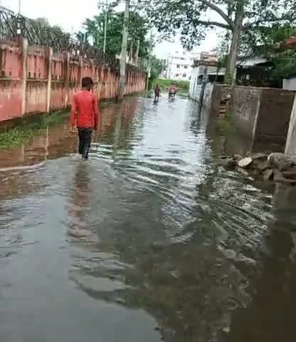 हाजीपुर: #hajipur_nagar #bagmusha
#pani_badh#word.no4﻿@
