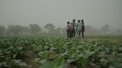 तेज बर्षा , आसमानी बिजली की चमक से अपने भी सुरक्षित रहे दूसरो को भी सुरक्षित रहने को बोले #बर्षा