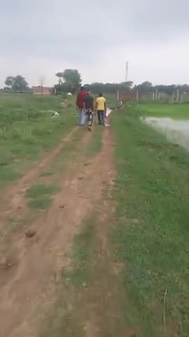मनगवां: mangawan #belwa paikan road abhi bhi bani aane Jane me parshani ho rahi hai﻿