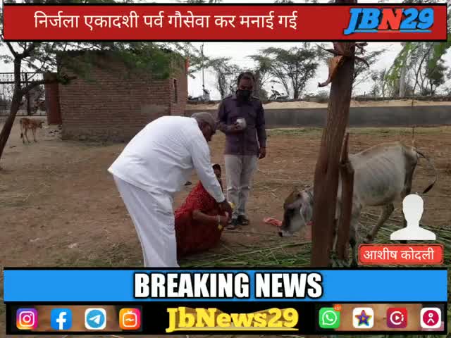 भूपालसागर: गौसेवा कर मनाई निर्जला एकादशी ।
#भूपालसागर # jbn29 
गौसेवा संस्थान भूपालसागर द्वारा संचालित गौमाता की गौशाला ।