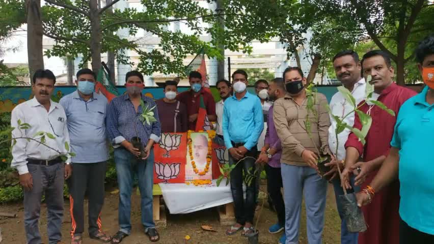 #श्यामा_प्रसाद_मुखर्जीजी, के #बलिदान_दिवस पर #रानीकमलापति_मंडल द्वारा ग्रीन पार्क कॉलोनी में #पौधारोपण किया गया