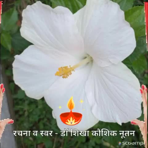 जय श्री राम
 #जयश्रीराम #आध्यात्मिक #NEWS