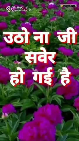 😬गुड मॉर्निंग का प्यारा सा वीडियो देखिए😬#व्हाट्सएपपरमिलावीडियो😃#अशोकअरोड़ाझिलमिल #धार्मिकमहफिल😃