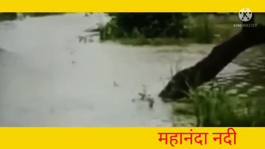 माहनंदा नंदी कि जल अस्तर बढ़ जाने से चकला बस्ती आदिवासी टोला को जाने वाली सड़क पर आया पानी लोग परेशान#bknenews#kishanga