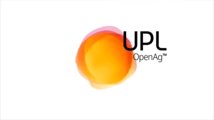 मेरा विश्वास मेरा भरोसा मेरा मेरा iris#upl