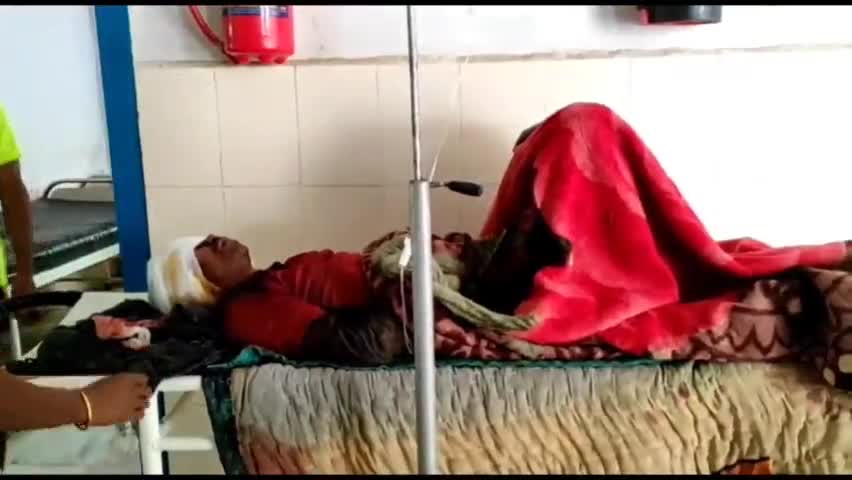 भंडरिया: बरकोल में जंगली भालू के हमले से तीन लोगों की हुई मौत, बचाव के लिए गए 4 लोग हुए घायल #जंगली_जानवर #हमला