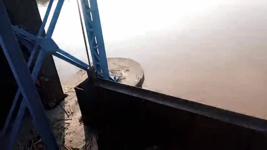 सैफन में बहकर आयी गाय , सत्यम मिश्र जी ने किया सूचित कहा , गाय का अन्तिम संस्कार हो#swamivivekjaiswal #Nanpara #saifan