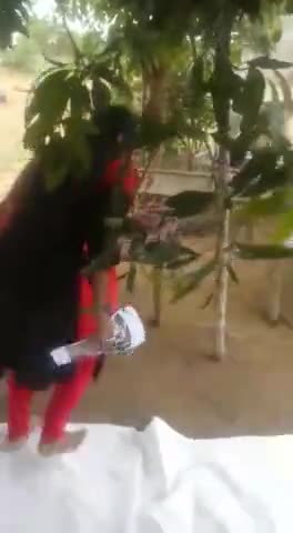 मुंबई में मोबाइल शॉप में काम करने के दौरान हुआ प्यार,जालौर के भीमा सुथार के यहां शादी करने आई मुम्बई से वही लड़की
#oplive