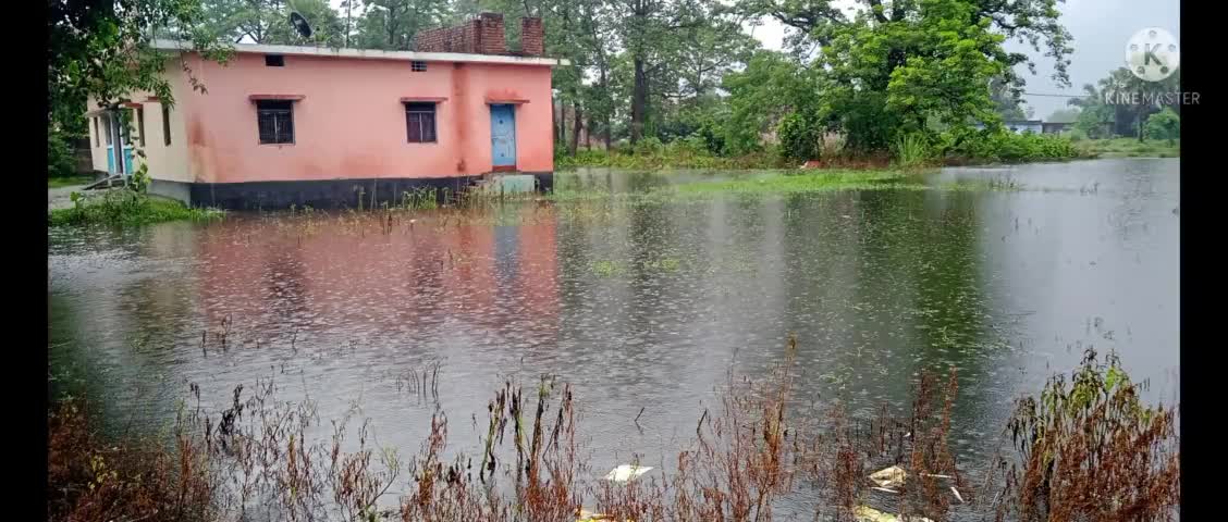 #नगरा: कटेसर का हल हुवा बेहाल बारिश के कारण चारो ओर पानी ही पानी है #Katesar