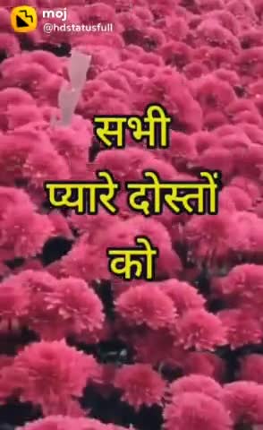 #jaipur #goodnight#khatushyam#rammandir