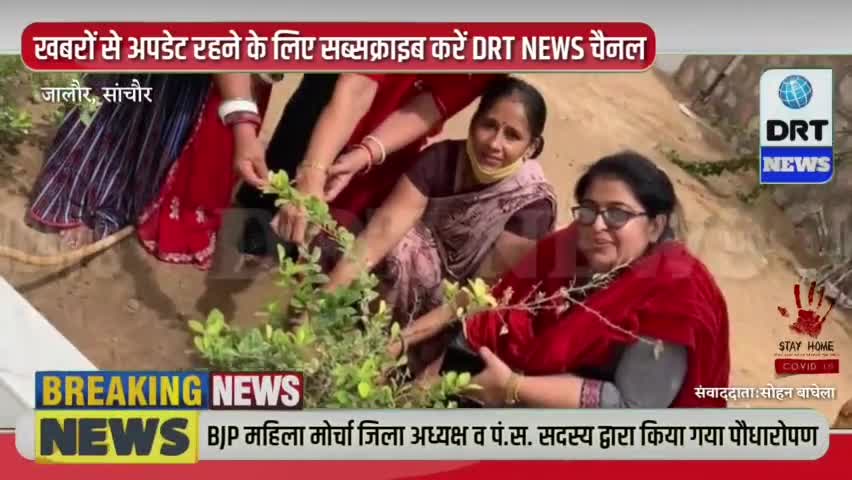 जालोर: बीजेपी महिला मोर्चा जिला अध्यक्ष व पंचायत समिति सदस्य द्वारा किया गया पौधारोपण##@@ #jalorenews