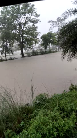 डुमरा: #sitamadhi me badh se tang 
puranhiya ganv me