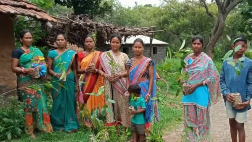 बिरसा संस्था के द्वारा वितरण किए गए 130 पौधे।
#shortnews