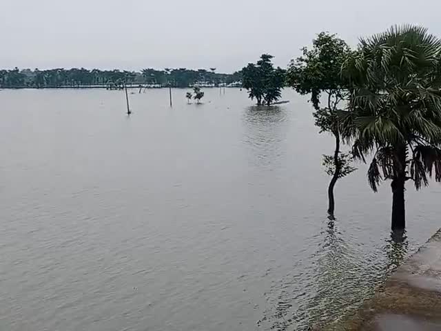 मोतिहारी: सिसवा पूर्वी मोतीहारी बाढ़ बहुत तेजी से आ चुकी है #सिसवा