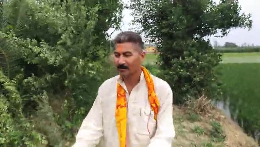 🚩🌹👏देखिए कैसे ?
तेज #हवा चलने से आम के पक्के फल और कई किलो मीठी #खजूर जड़ गई