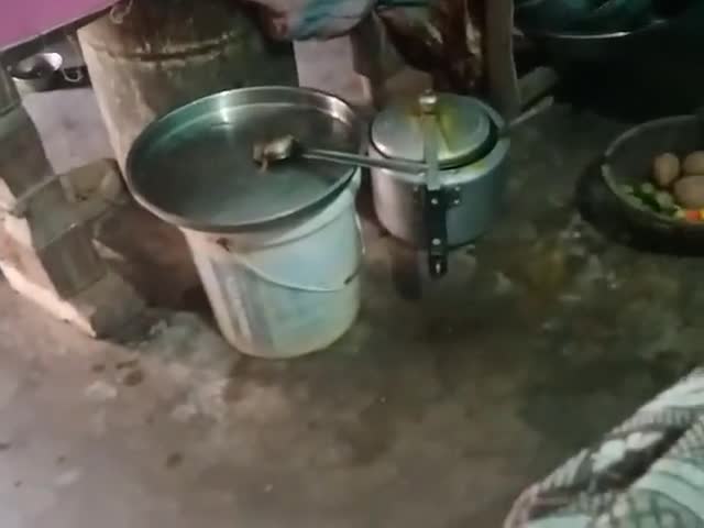 डुमरा: #Vidyarthi ka Jeevan kaisa Ho Gaya hua hai aap sabhi dekh sakte hain