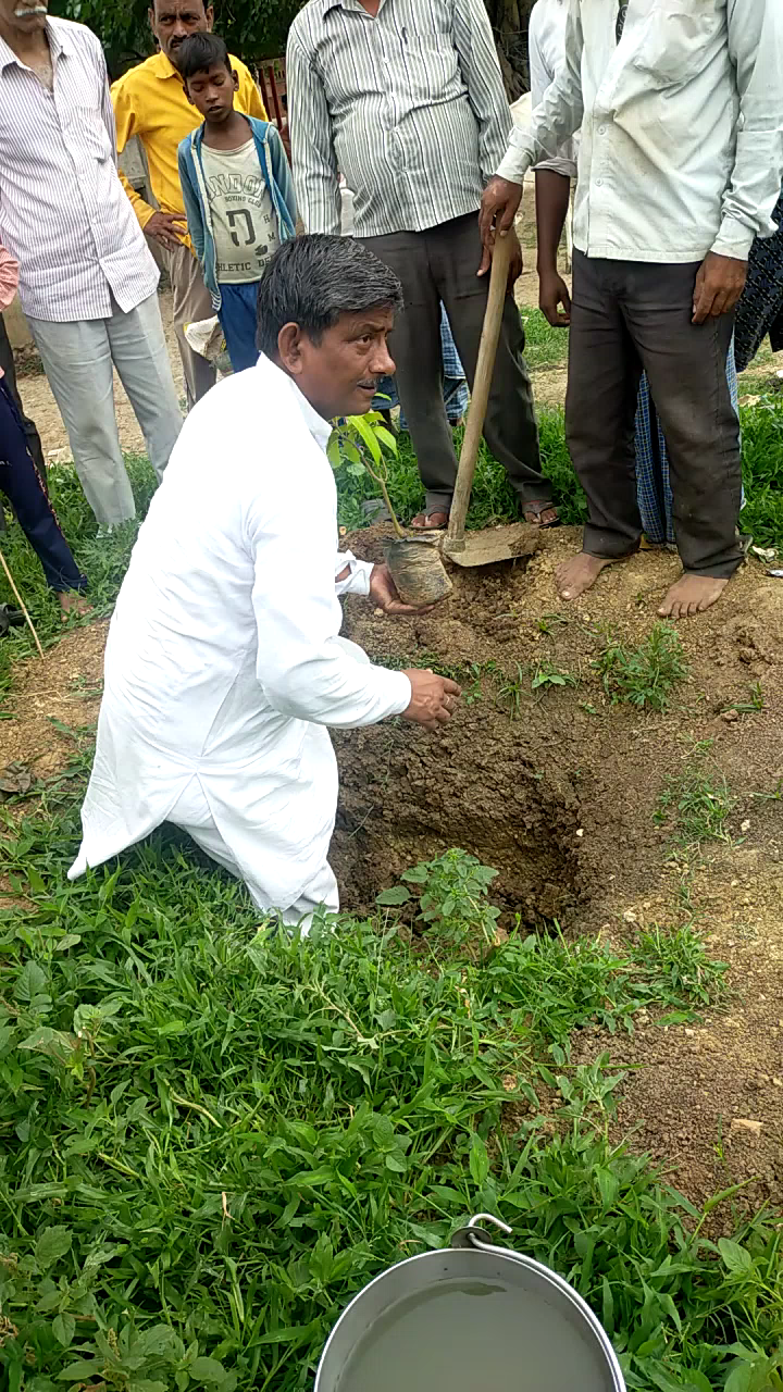 रॉबर्ट्सगंज: रॉबर्ट्सगंज ग्राम कुसमा में प्रधान द्वारा पेड़ लगाया गया पेड़ लगाएं पर्यावरण बचाएं #public #sonbhdra