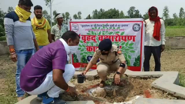#सफीपुर सीओ डॉ बीनू सिंह ने किया पौधारोपण।