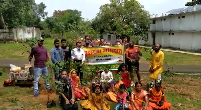 पिपरिया: tree plant #pachmarhi gayatri pariwar ke dwara #devravengond