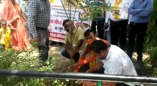 राष्ट्रीय शैक्षिक महासंघ ने किया बृक्षारोपण 
#mathura #savetheplanet #savetheenvironment #saveearth