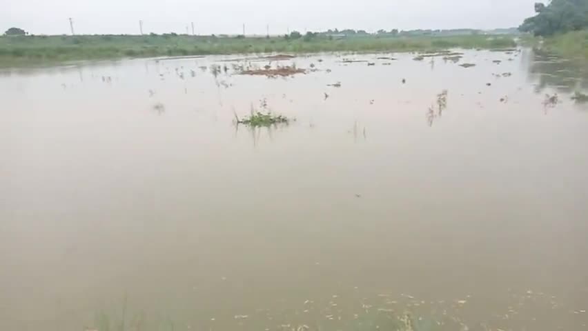 #@@#सरसावा पंचायत के न्यू bangalia में बारिश के कारण जलस्तर बढ़ने से पानी में  वृद्धि देखने के लिए मिल रहा है###