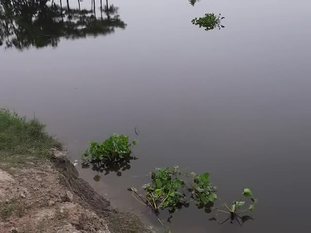 गायघाट: गायघाट #महमदपुर सूरा नदी मे पानी बढने से लोग परेशान ##