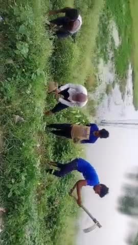 ग्राम पंचायत भमौरा व्रक्षारोपण 566 पेड़ लग चुका है। #मो0 याकूब