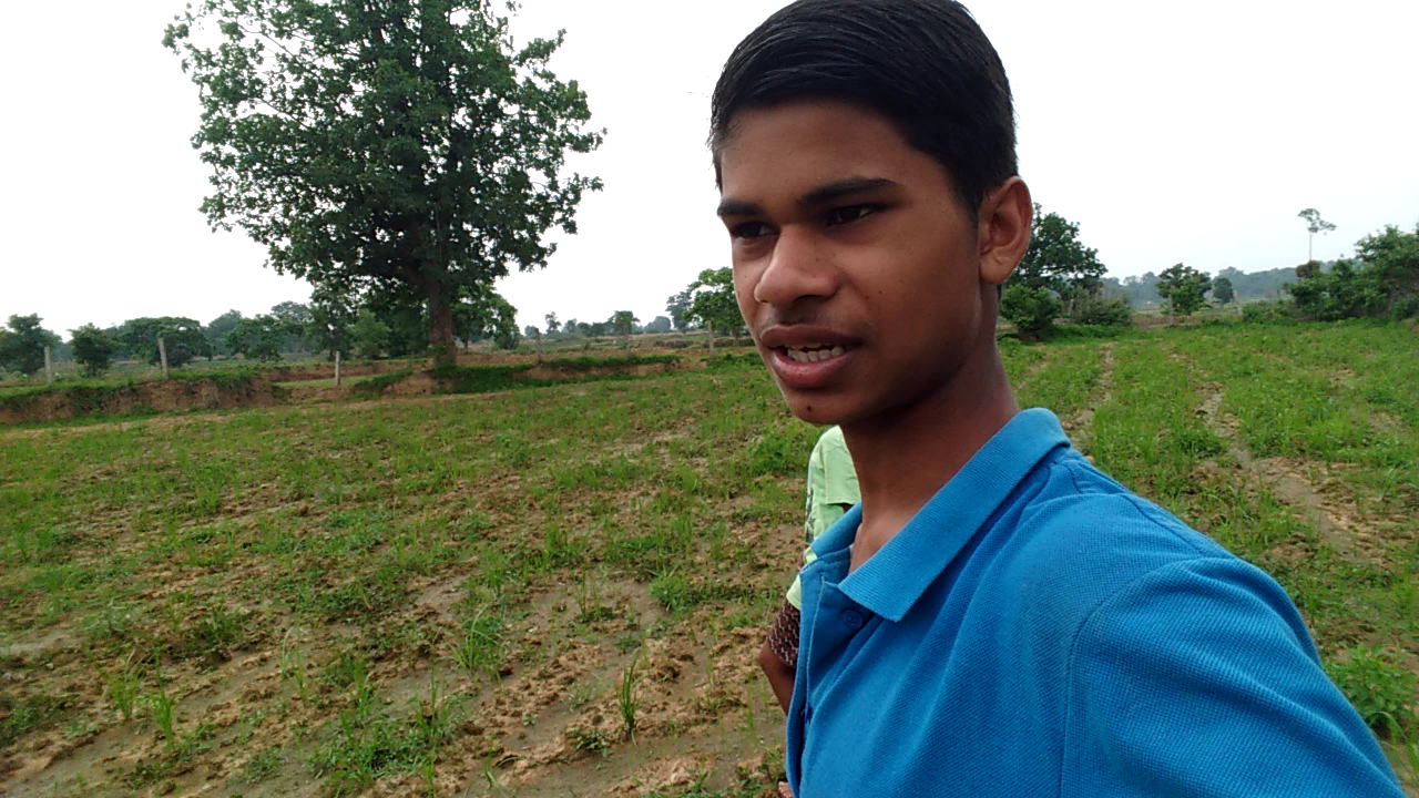बस्तर: आज हम लोग जंगल का सैर किया #forest #jungle #vlogsparray #vlog #mdkivlog