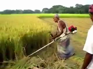 मो.-9999087359 | पता- एम्. के. कृषि यंत्र,कालागढ रोड,निकट पेट्रोल पंप,#भूतपुरी,#बिजनौर,उ.प्र.|#paddycutter#riceharvester